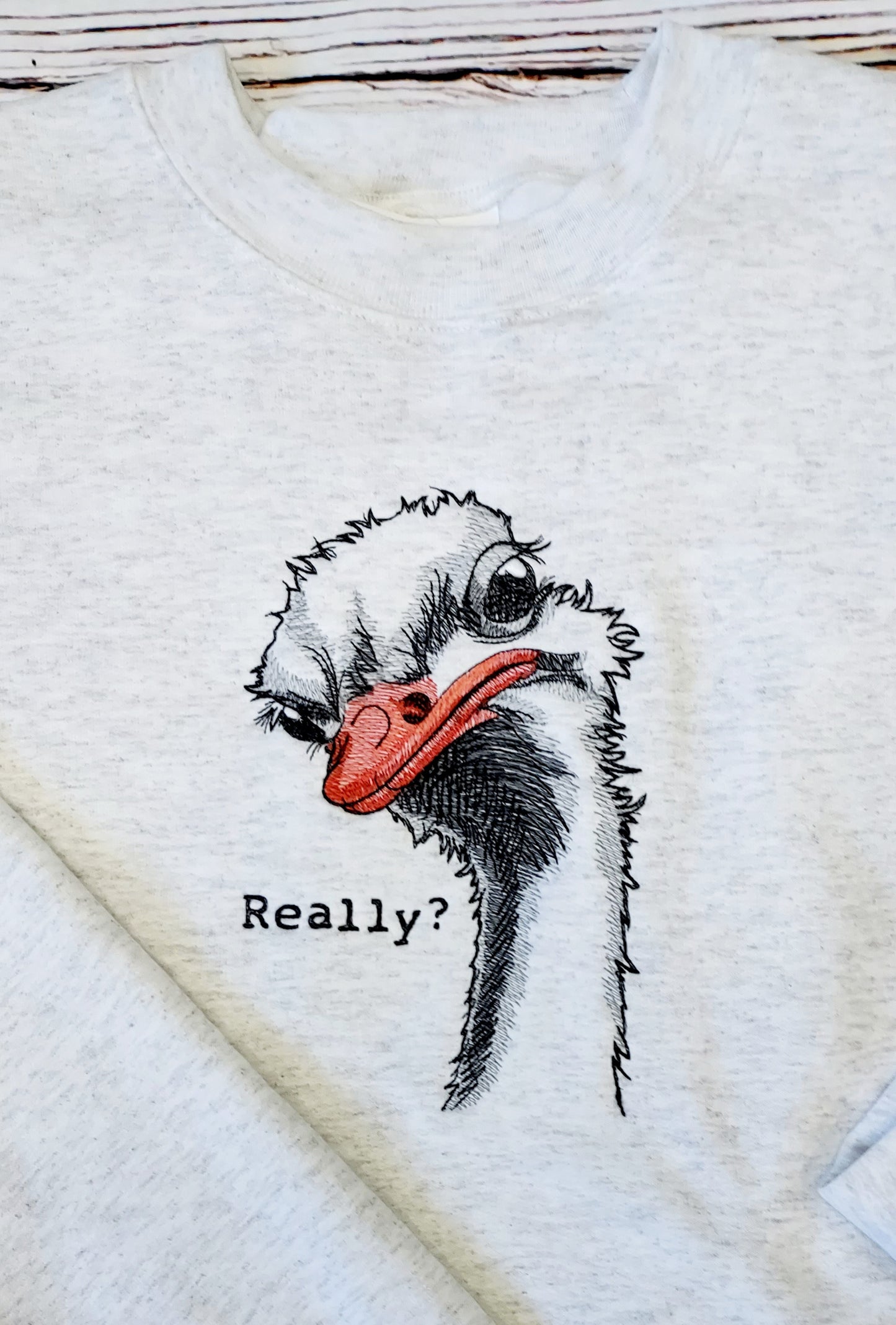 Embroidered Sweatshirt, Sassy Ostrich
